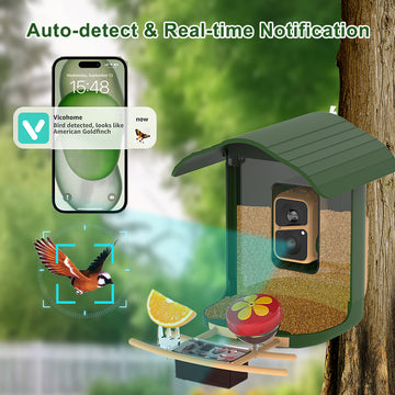 BERDZ Smart Bird Feeder Camera PAV300