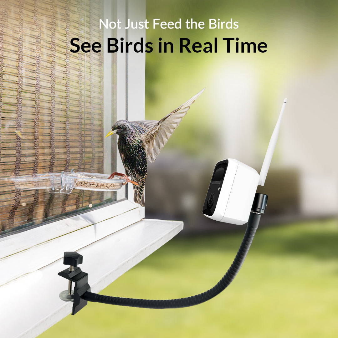 BERDZ Bird Camera With Motion Detection